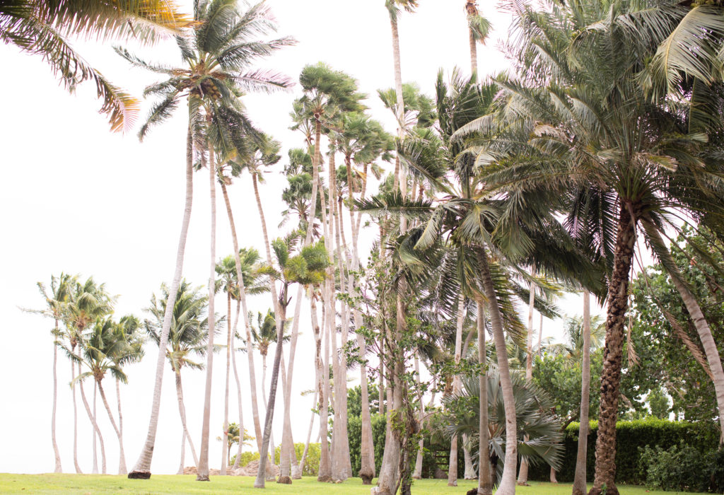 Cheeca Lodge & Spa Wedding, Islamorada Wedding, Elopement Key Largo,