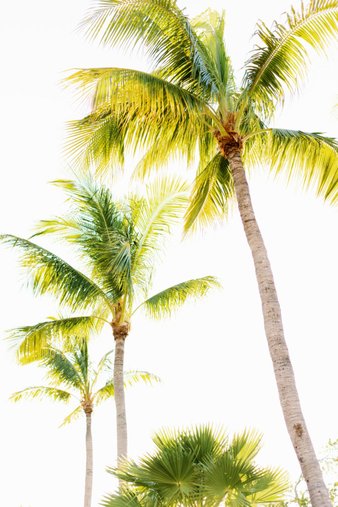 Coconut Palm Inn Wedding Welcome Party , Claudia Rios Photography, Key Largo Wedding Photographer