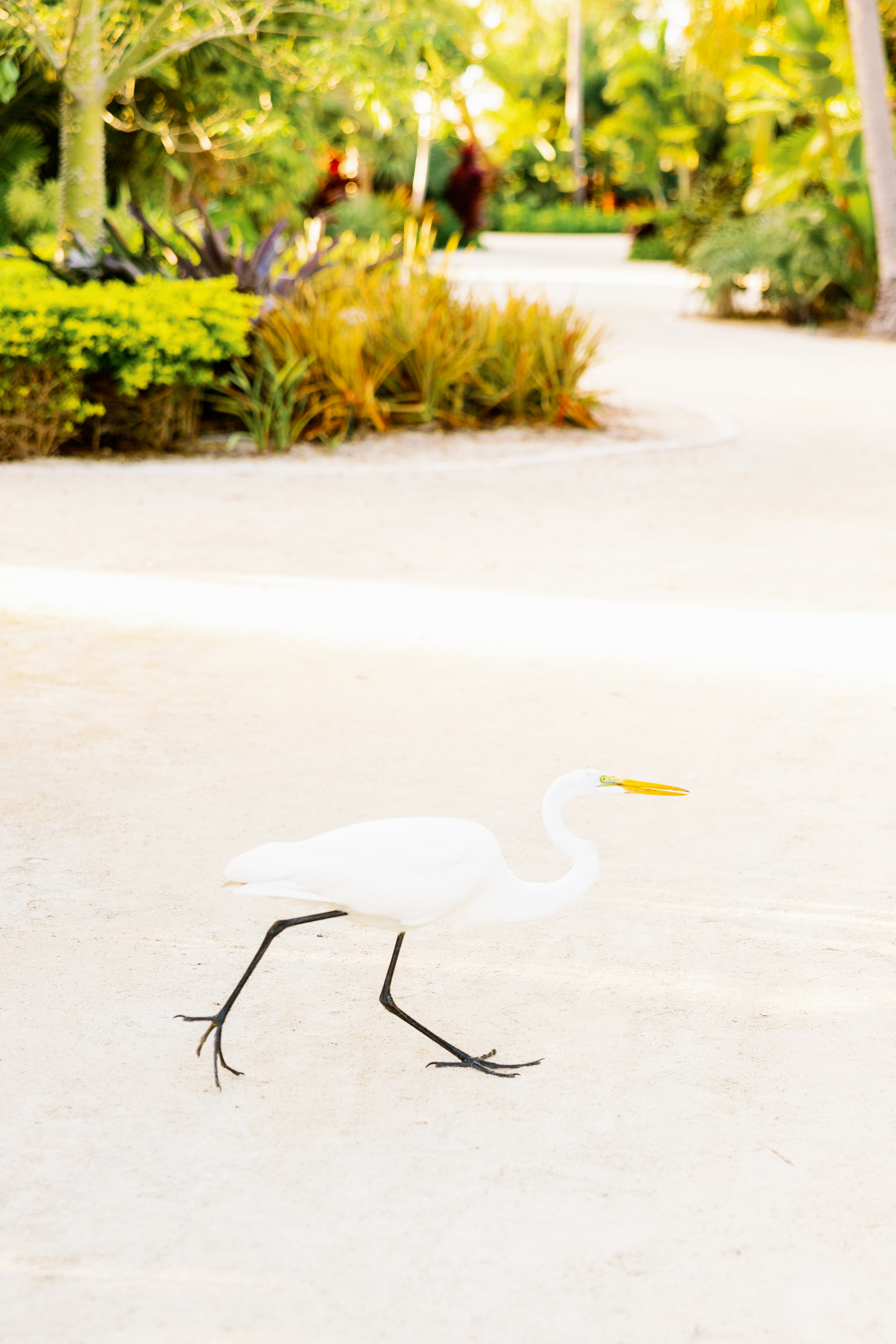 Family Photographer Islamorada, Islamorada Family Photographer, Islander Resort Family Photos. Claudia Rios Photography