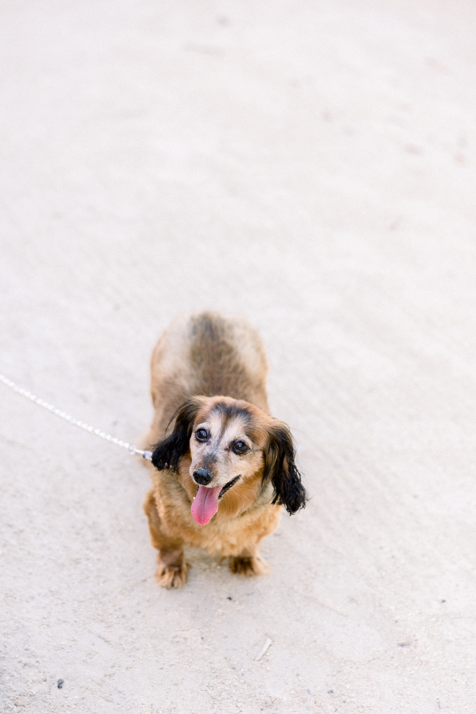 Bakers Cay Resort Wedding, Key Largo Wedding Photographer, Claudia Rios Photography