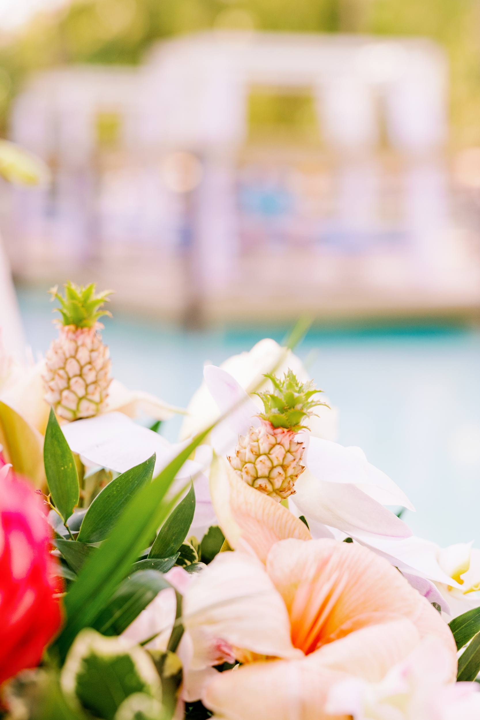 Cheeca Lodge & Spa Wedding, Islamorada Wedding Photographer, Islamorada Wedding Venue, Claudia Rios Photography