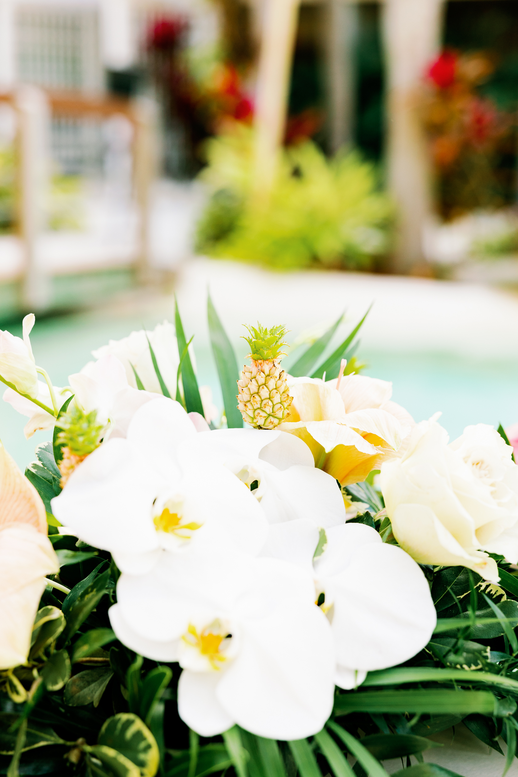 Cheeca Lodge & Spa Wedding, Islamorada Wedding Photographer, Islamorada Wedding Venue, Claudia Rios Photography