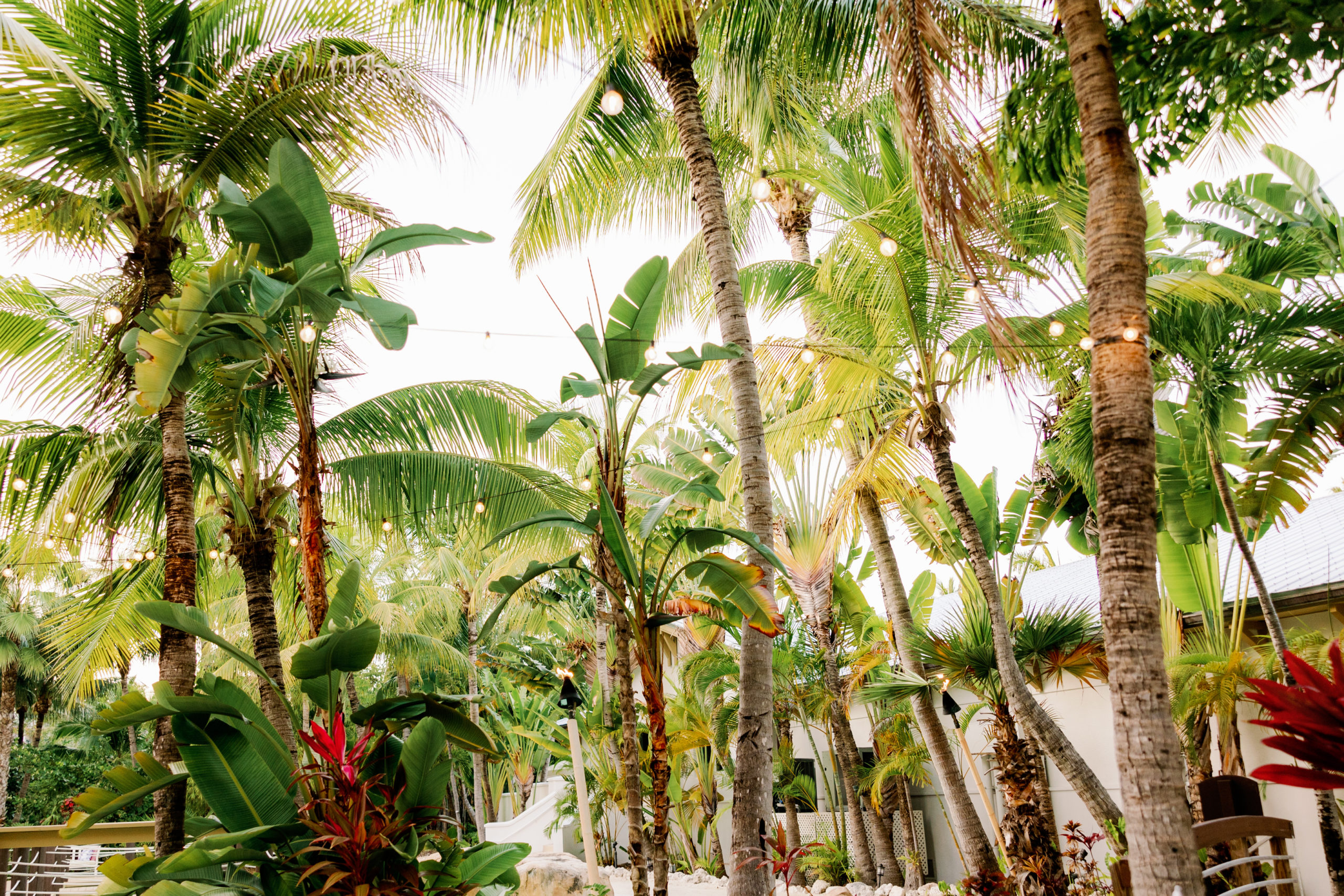 Cheeca Lodge & Spa Wedding, Islamorada Wedding Photographer, Islamorada Wedding Venue, Claudia Rios Photography