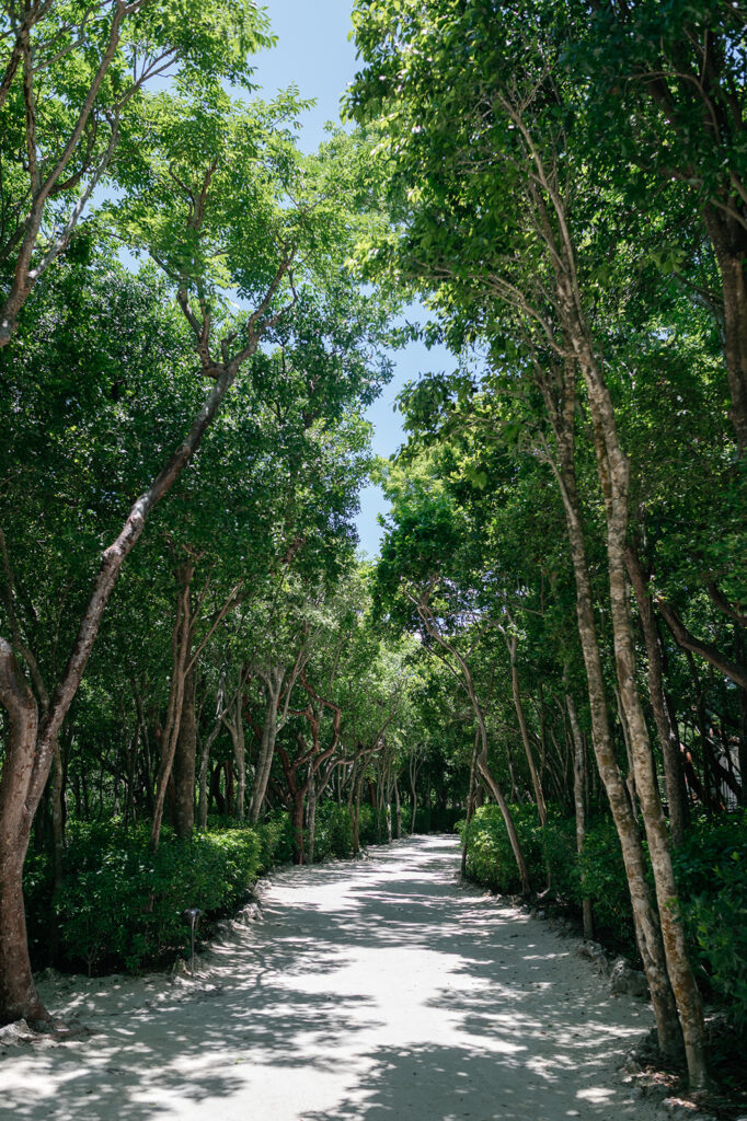 Landscape shots of Baker's Cay Resort. Captured by Claudia Amalia, a destination wedding photographer in the Keys.