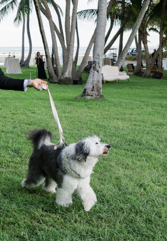 The sweetest flower girl moment with Luna at Kat and Kenny’s Islander Resort wedding