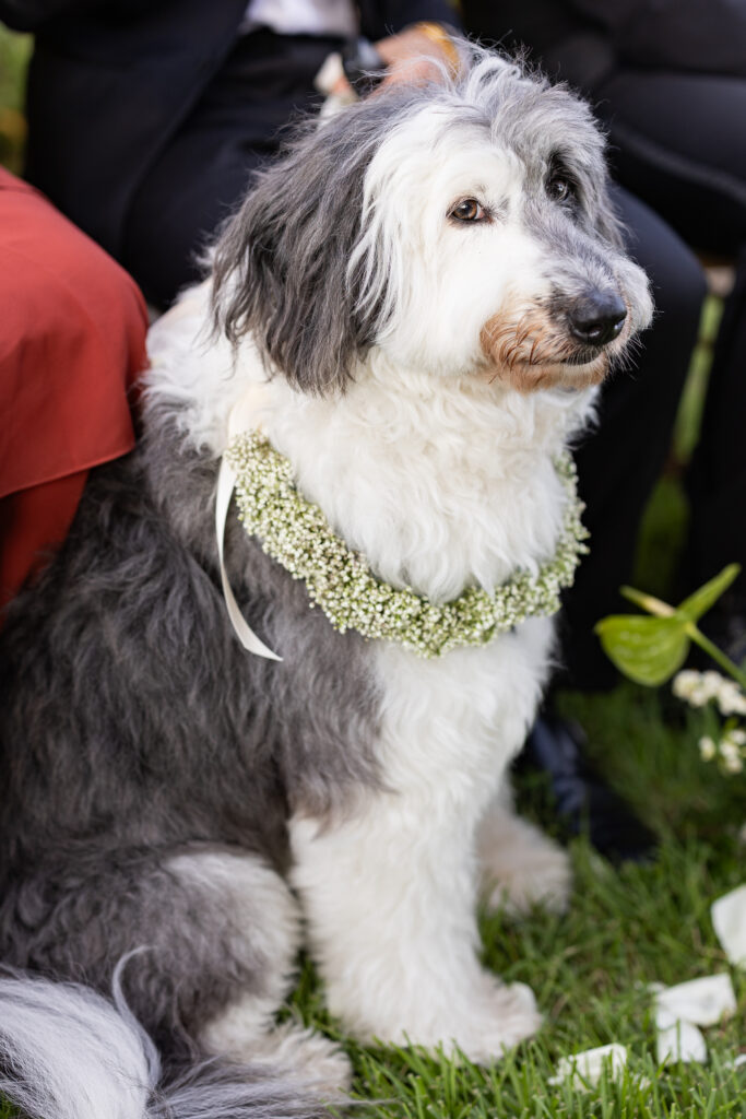 The sweetest flower girl moment with Luna at Kat and Kenny’s Islander Resort wedding
