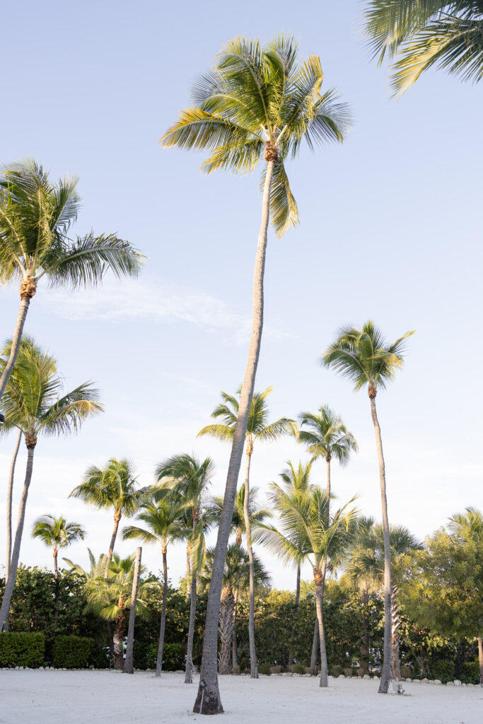 Three Waters Resort in Islamorada