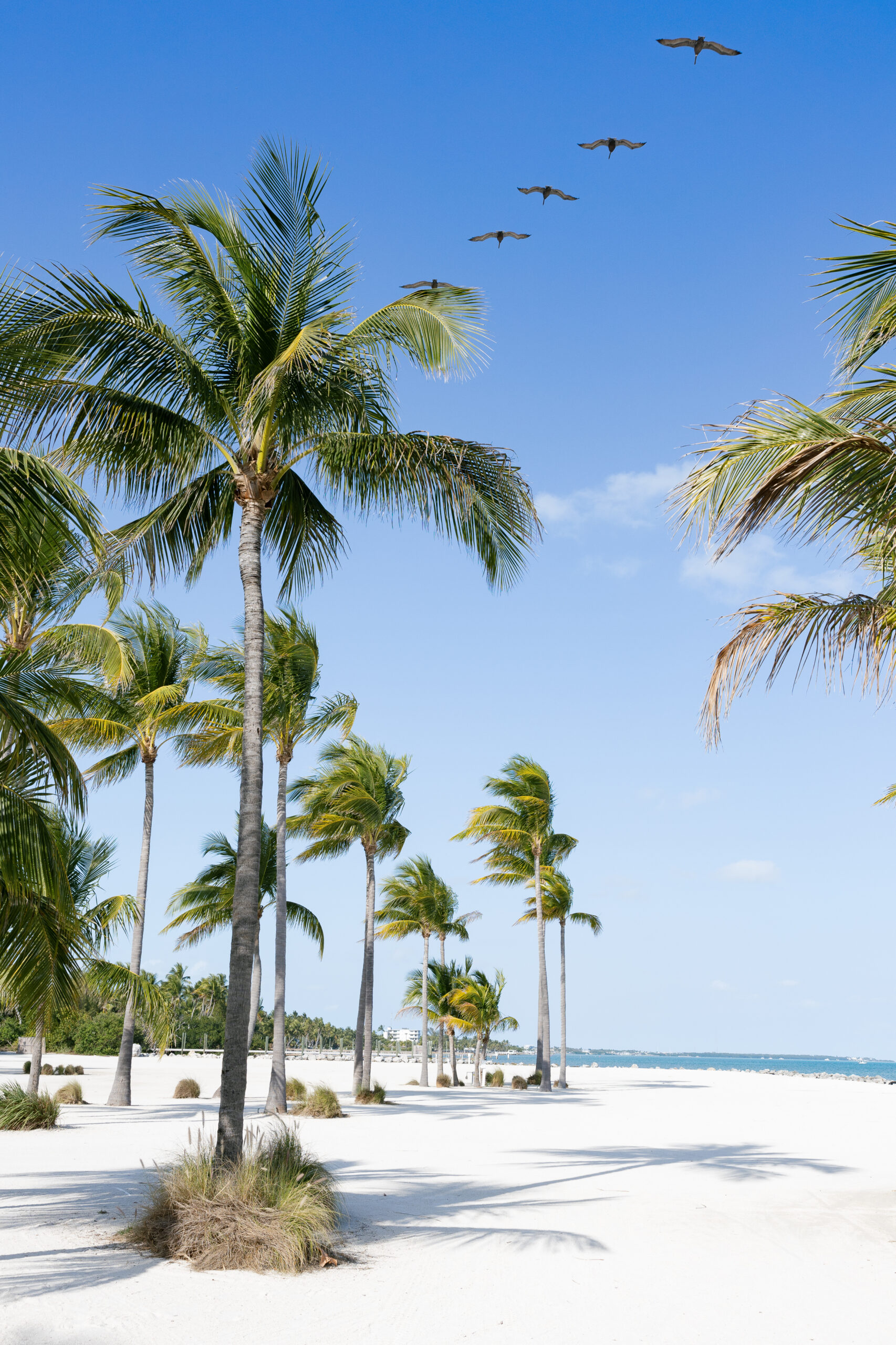 Miami and Florida Keys Wedding Photographer